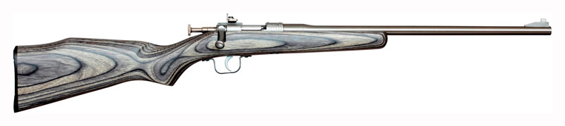 CHIPMUNK RIFLE 22LR STAINLESS/BLACK LAMINATE - for sale