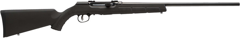 SAVAGE A17 17HMR SPORTER 22" 10-SH ACCU TGR BLUED/BLK SYN - for sale