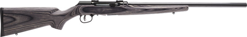 SAVAGE A17 17HMR SPORTER 22" ACCU TGR BLU/GRY LAM SPORTER - for sale