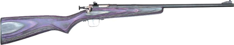 CRICKETT RIFLE G2 22LR BLUED/PURPLE LAMINATE - for sale