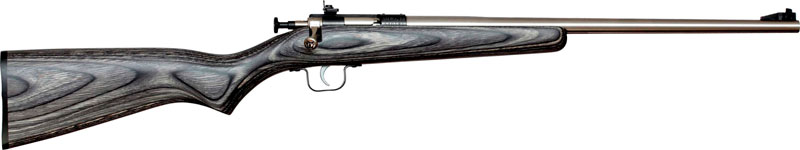 CRICKETT RIFLE G2 22LR S/S BLACK LAMINATE - for sale