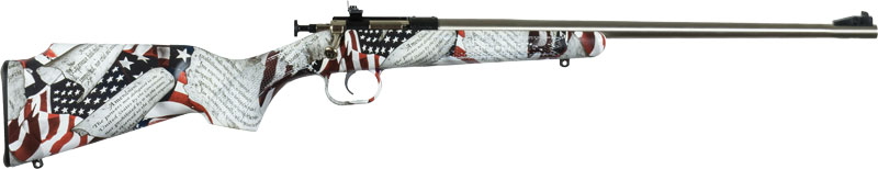 CRICKETT RIFLE G2 22LR AMENDMENT STAINLESS - for sale